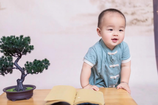 资兴可爱的企鹅宝宝